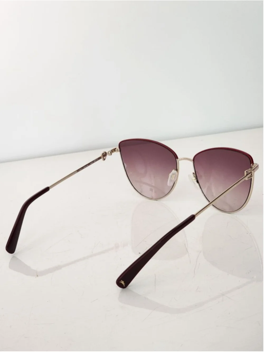 Longchamp brand new